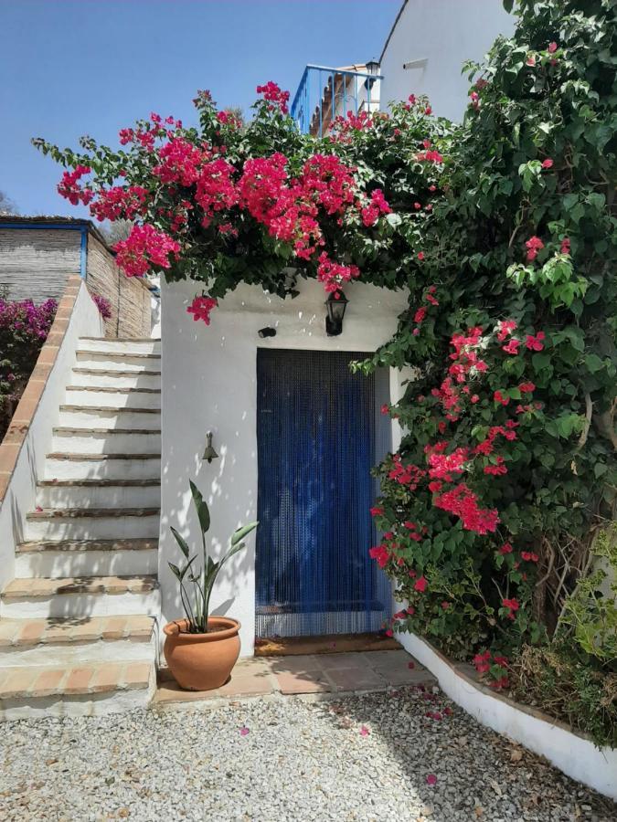 Attico Los Montes With Private Pool Viñuela Exterior foto